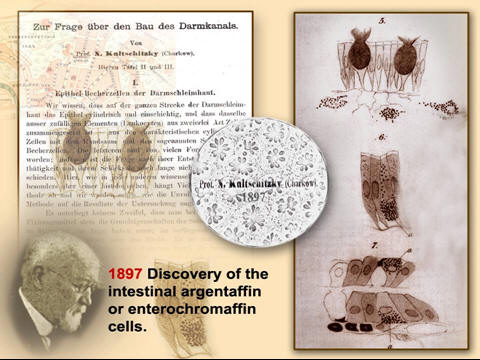 discovery of enterochromaffin cells